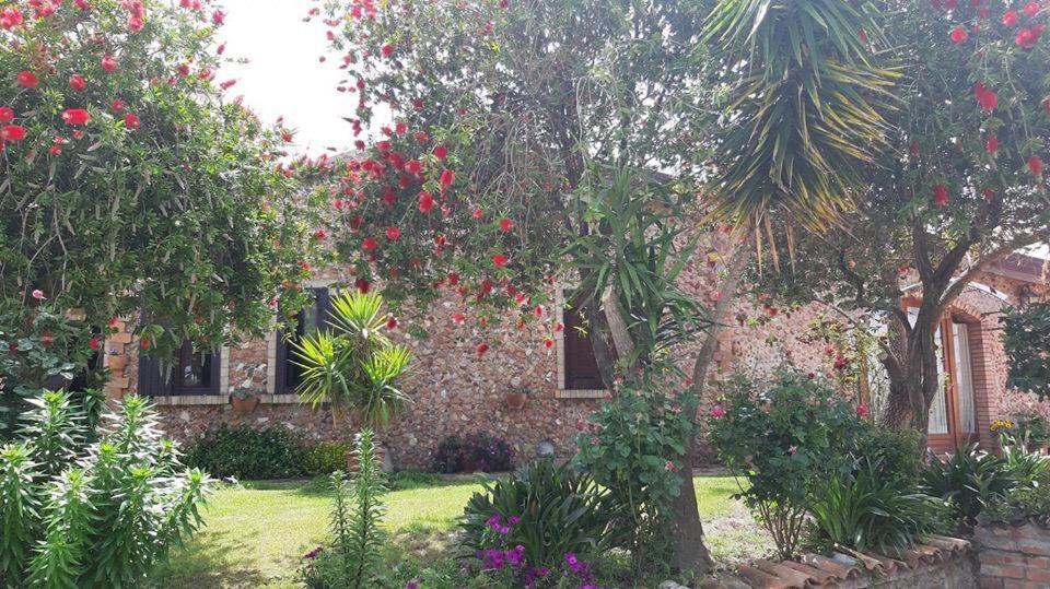 Agriturismo Pingitore Luzzi 外观 照片
