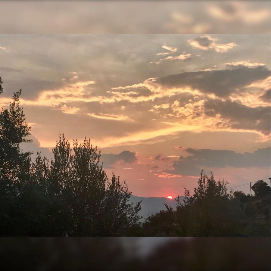 Agriturismo Pingitore Luzzi 外观 照片