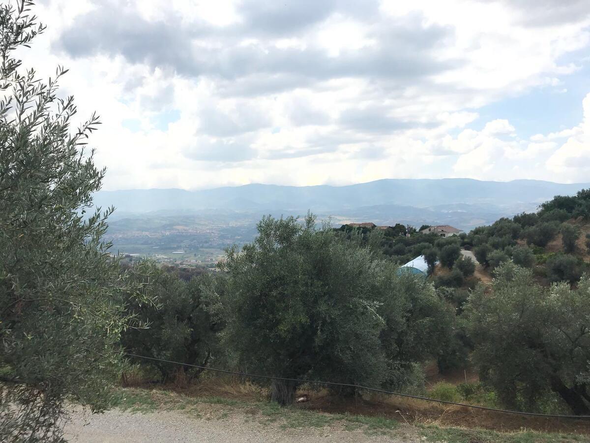 Agriturismo Pingitore Luzzi 外观 照片