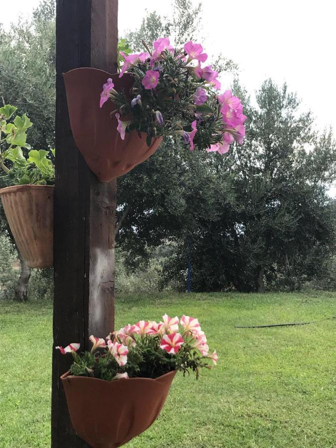 Agriturismo Pingitore Luzzi 外观 照片