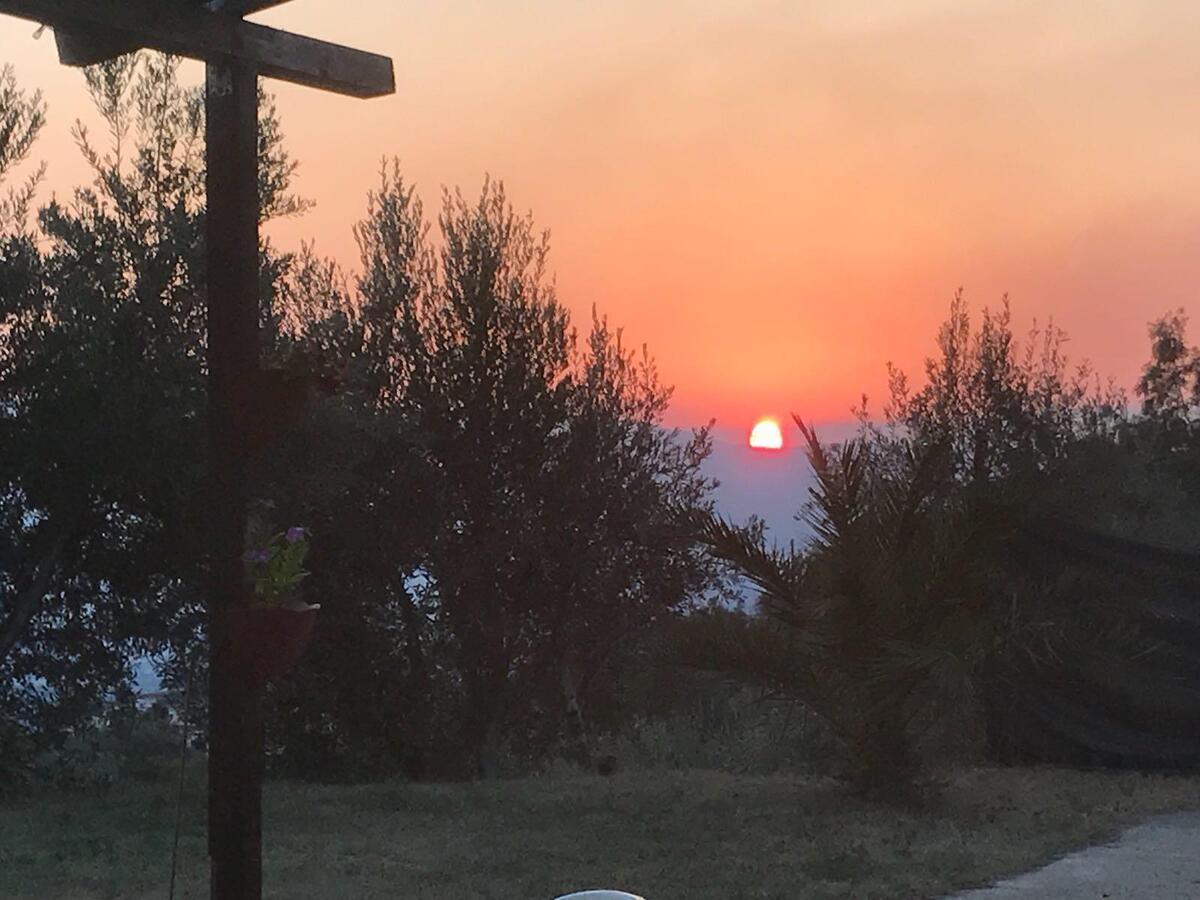 Agriturismo Pingitore Luzzi 外观 照片